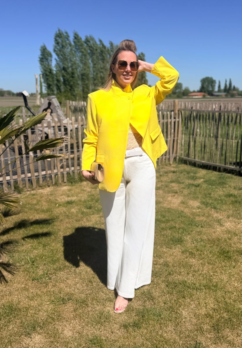 ALLISON BLAZER GEEL
